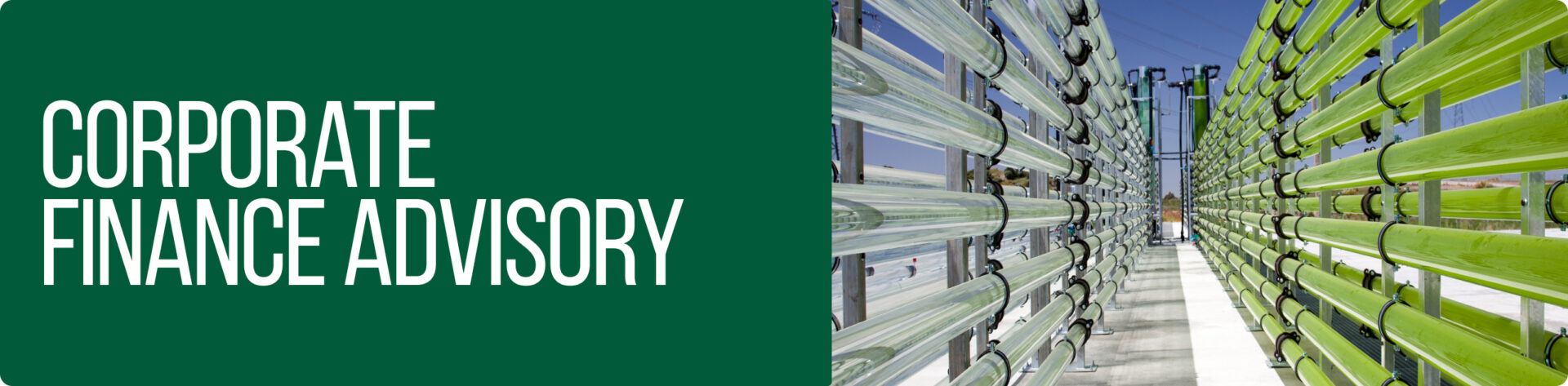 Corporate Finance Advisory