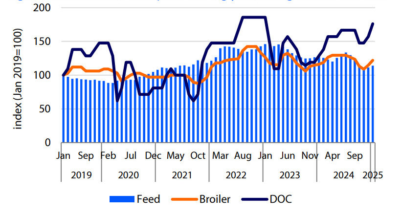 Broiler and DOC prices strongly bouncing back in Q1 2025